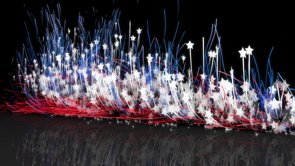 American Logo Particles