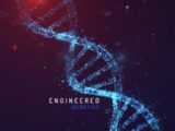 DNA – After Effects Template