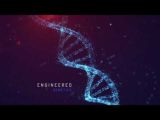 DNA – After Effects Template